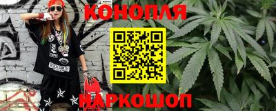 сатива Камышлов